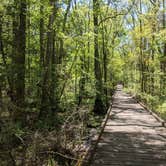 Review photo of Reed Bingham State Park Campground by Gerri , April 8, 2021