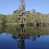 Review photo of Reed Bingham State Park Campground by Gerri , April 8, 2021