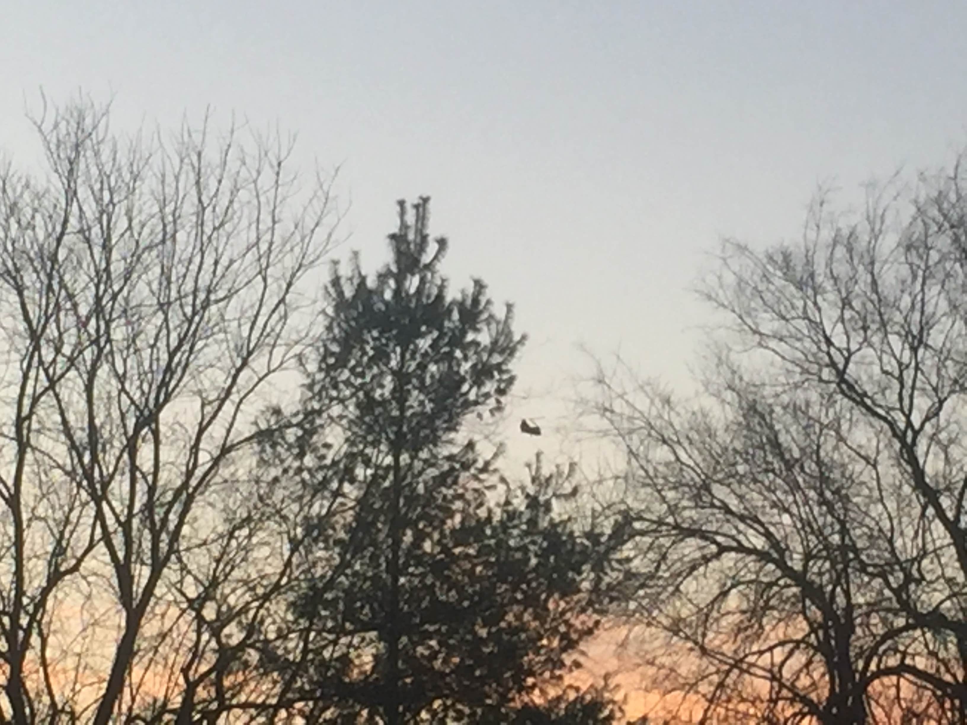 Camper submitted image from Western Kentucky RV Park - 4