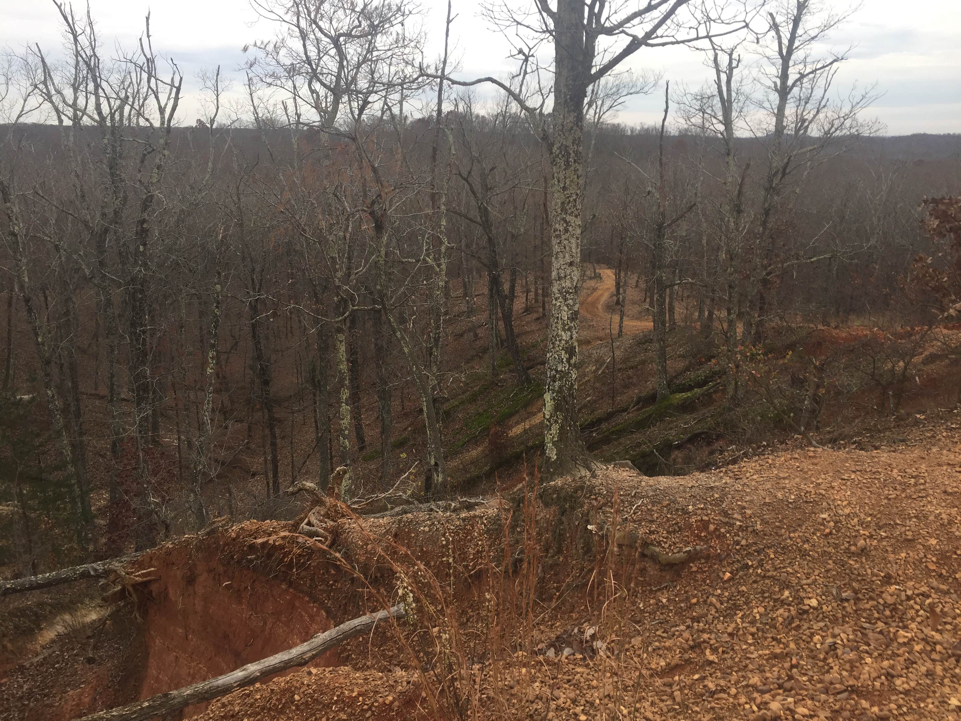 Camper submitted image from Land Between The Lakes National Recreation Area Redd Hollow Campground - 2