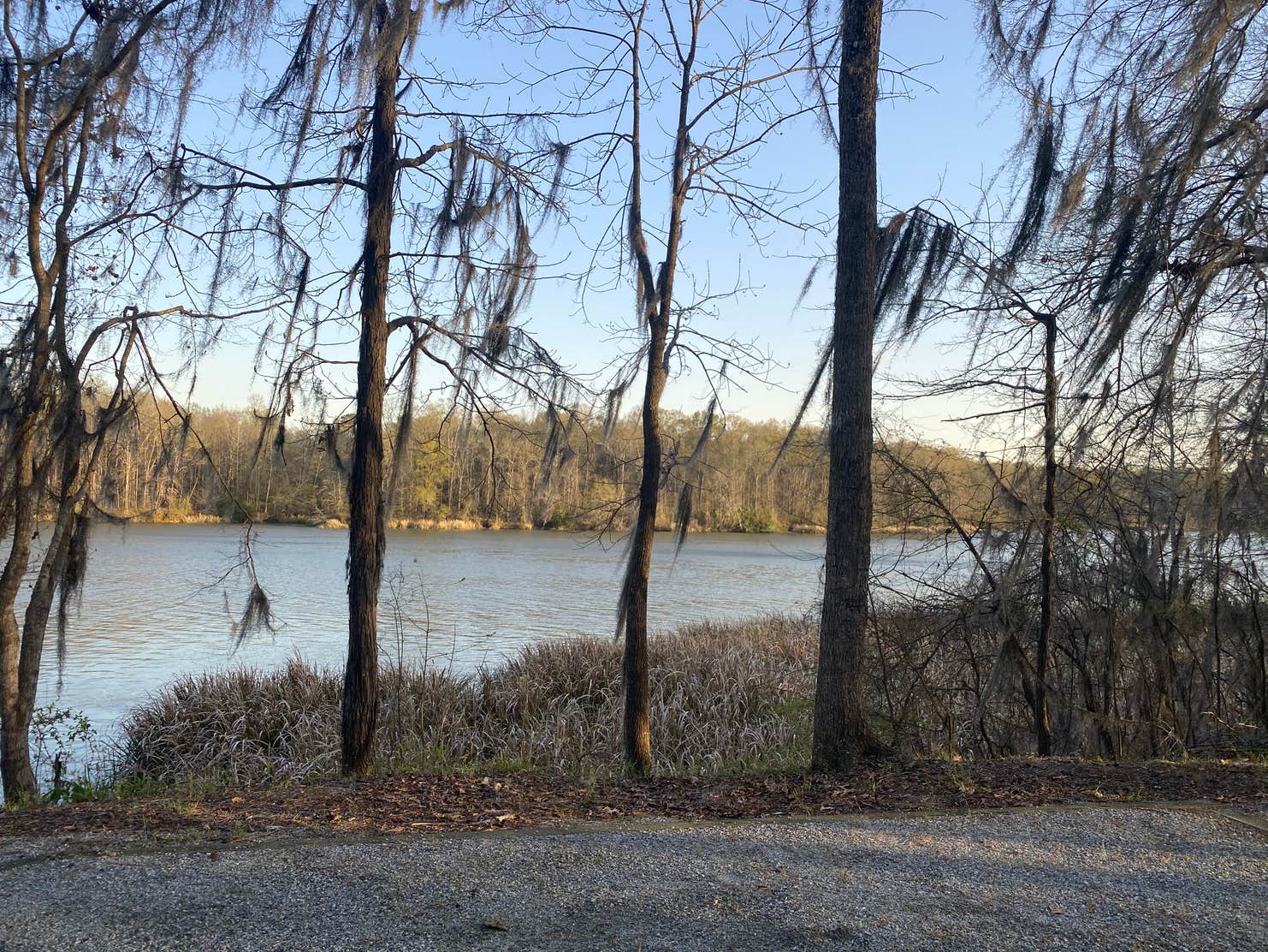 Bluff Creek The Dyrt