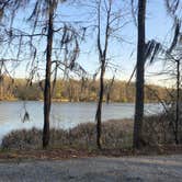 Review photo of COE Walter F George Lake Bluff Creek Campground by Carrie with BottleCapsAndBacon F., April 8, 2021