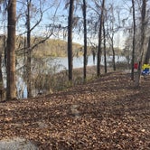 Review photo of COE Walter F George Lake Bluff Creek Campground by Carrie with BottleCapsAndBacon F., April 8, 2021