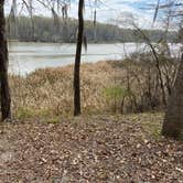 Review photo of COE Walter F George Lake Bluff Creek Campground by Carrie with BottleCapsAndBacon F., April 8, 2021