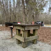 Review photo of COE Walter F George Lake Bluff Creek Campground by Carrie with BottleCapsAndBacon F., April 8, 2021