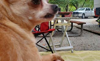Kim M.'s photo of camping with pets at Kolomoki Mounds State Park Campground near Blakely, GA