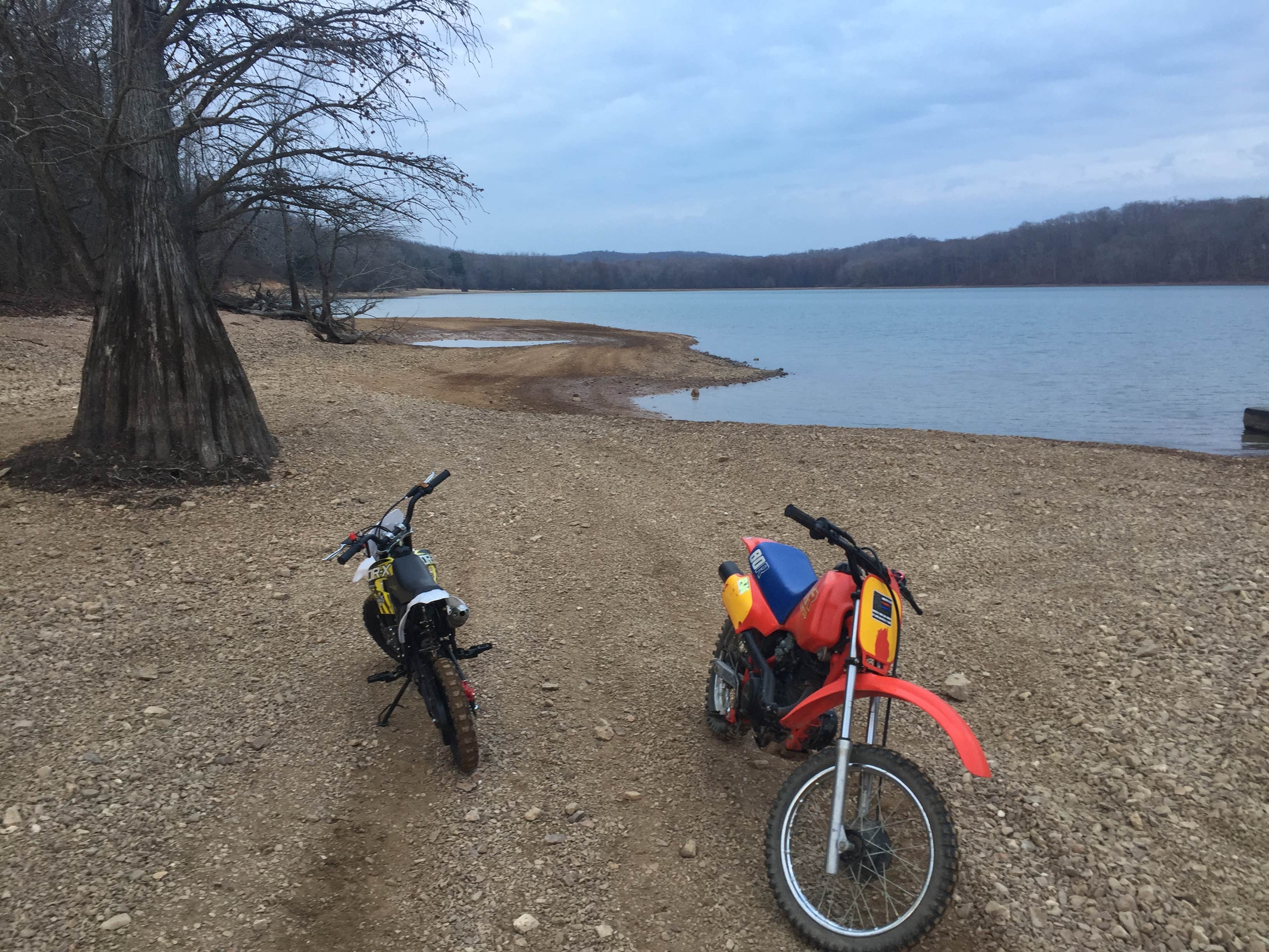 Camper submitted image from Land Between The Lakes National Recreation Area Turkey Bay OHV Area - 5