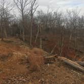 Review photo of Land Between The Lakes National Recreation Area Turkey Bay OHV Area by Chris O., April 8, 2021