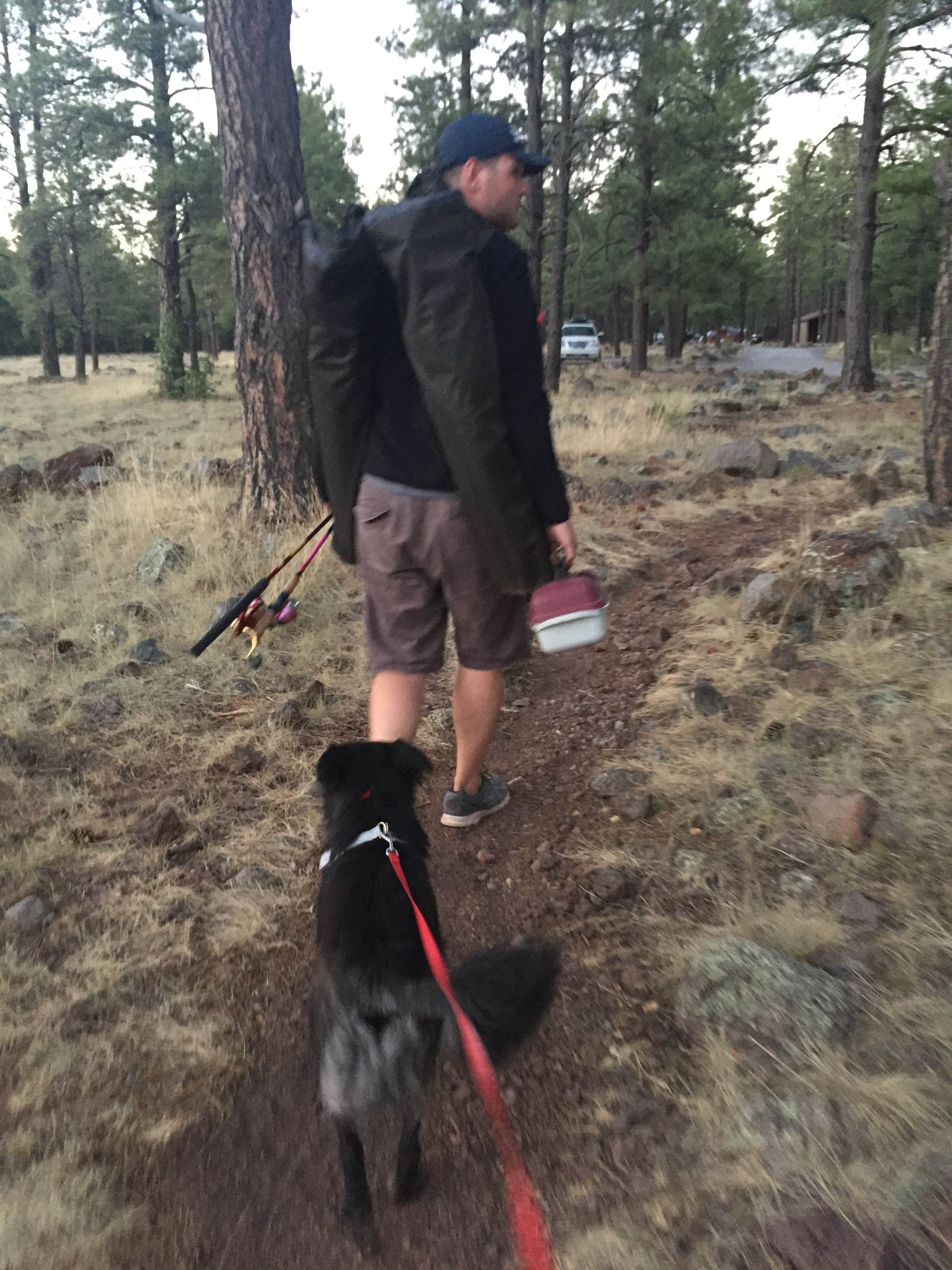 Camper-submitted photo at Dogtown Lake Campground And Group near Williams, AZ