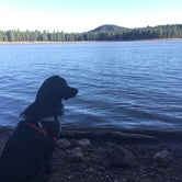 Review photo of Dogtown Lake Campground And Group by Candy P., April 8, 2021