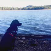 Review photo of Dogtown Lake Campground And Group by Candy P., April 8, 2021