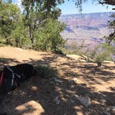 Review photo of Dogtown Lake Campground And Group by Candy P., April 8, 2021