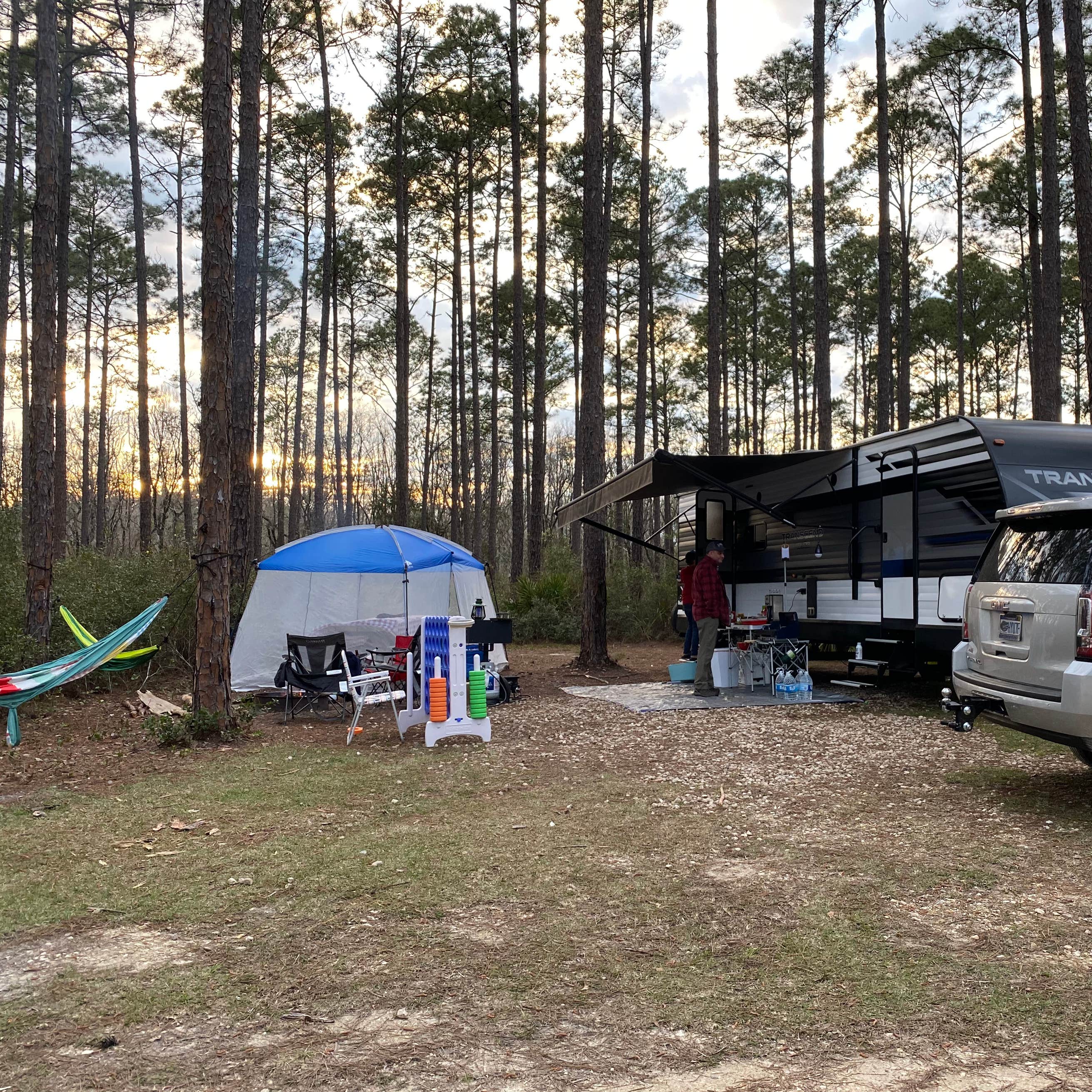 Tate's Hell State Forest Camping | The Dyrt