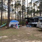 Review photo of Tate's Hell State Forest by Carrie with BottleCapsAndBacon F., April 8, 2021