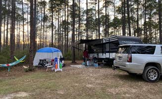 Carrie with BottleCapsAndBacon F.'s photo at Loop Road Campsite — Tate's Hell State Forest Womack Creek Primitive Campsites near Apalachicola National Forest
