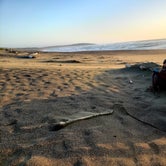 Review photo of Bodega Dunes Campground — Sonoma Coast State Park by Ashley S., April 8, 2021