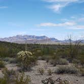 Review photo of Twin Peaks Campground — Organ Pipe Cactus National Monument by Jon , April 8, 2021