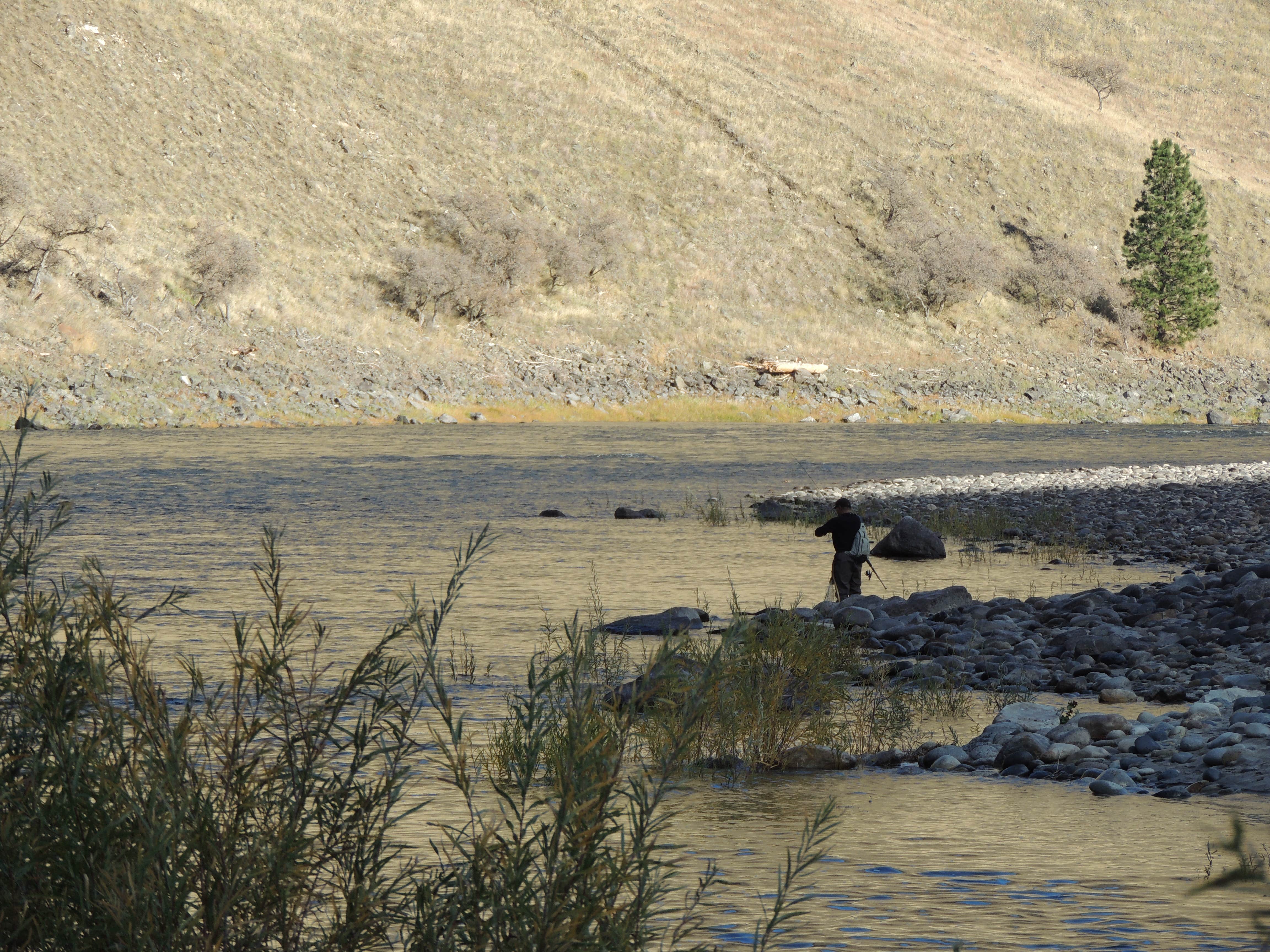 Camper-submitted photo at Shorts Bar Recreation Site near Imnaha, OR