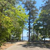 Review photo of Hardridge Creek Campground by Carrie with BottleCapsAndBacon F., April 8, 2021