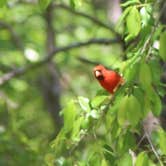 Review photo of Hardridge Creek Campground by Carrie with BottleCapsAndBacon F., April 8, 2021