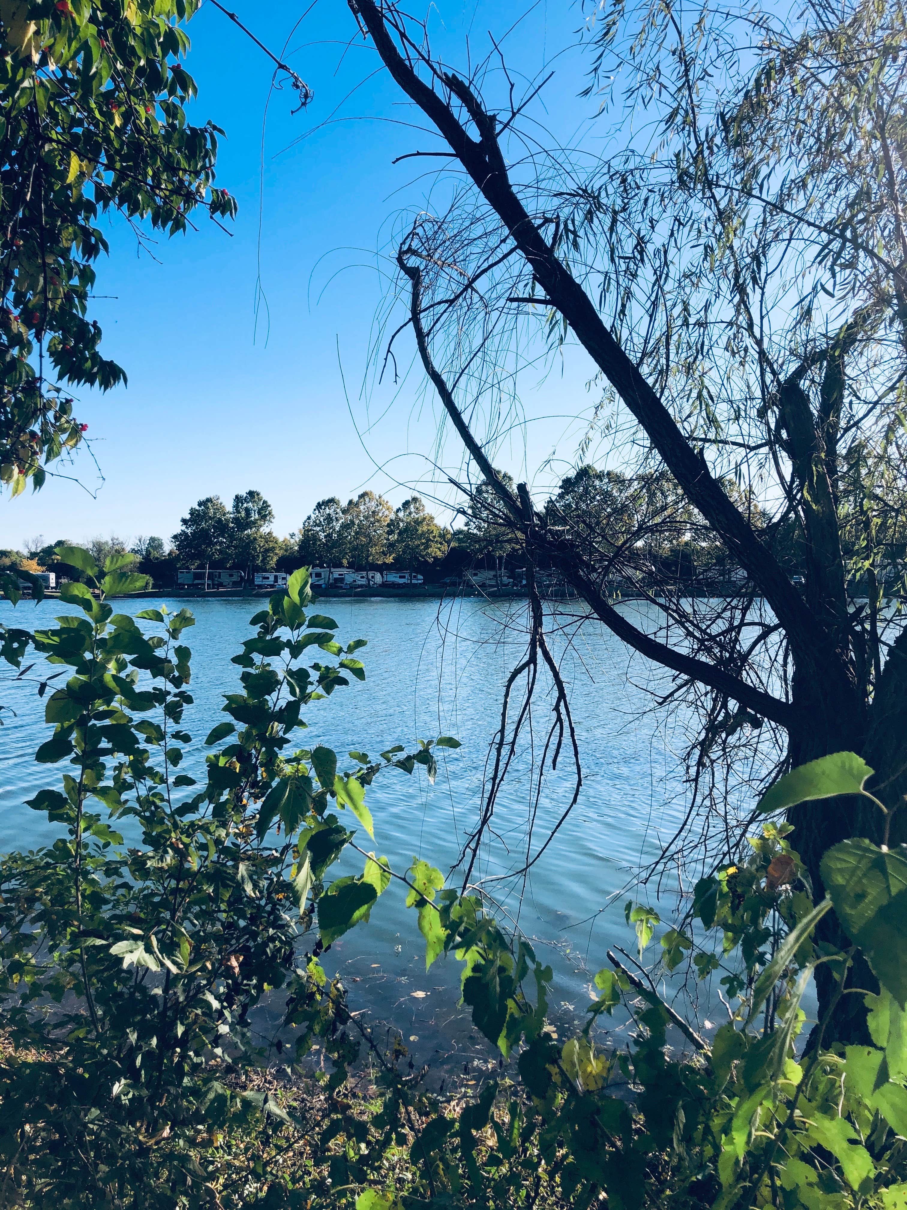 Camping near Barefoot Retreat: Indian Springs Campground, Garrett, Indiana