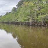 Review photo of Martin Dies, Jr. State Park Campground by Daniel L., April 8, 2021