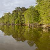 Review photo of Martin Dies, Jr. State Park Campground by Daniel L., April 8, 2021