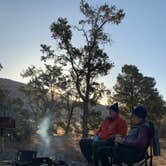 Review photo of Mid Hills Campground — Mojave National Preserve by Nikki , April 8, 2021