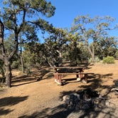 Review photo of Mid Hills Campground — Mojave National Preserve by Nikki , April 8, 2021