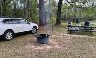 Camper-submitted photo from Wenks Landing Recreation Area