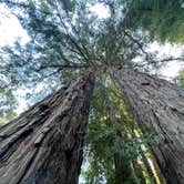 Review photo of Pfeiffer Big Sur State Park Campground by Timothy  A., April 8, 2021