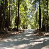 Review photo of Pfeiffer Big Sur State Park Campground by Timothy  A., April 8, 2021