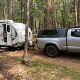 Review photo of McArthur-Burney Falls Memorial State Park Campground by Bill T., April 8, 2021