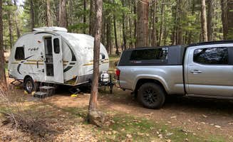 Bill T.'s photo at McArthur-Burney Falls Memorial State Park Campground near Cassel, CA