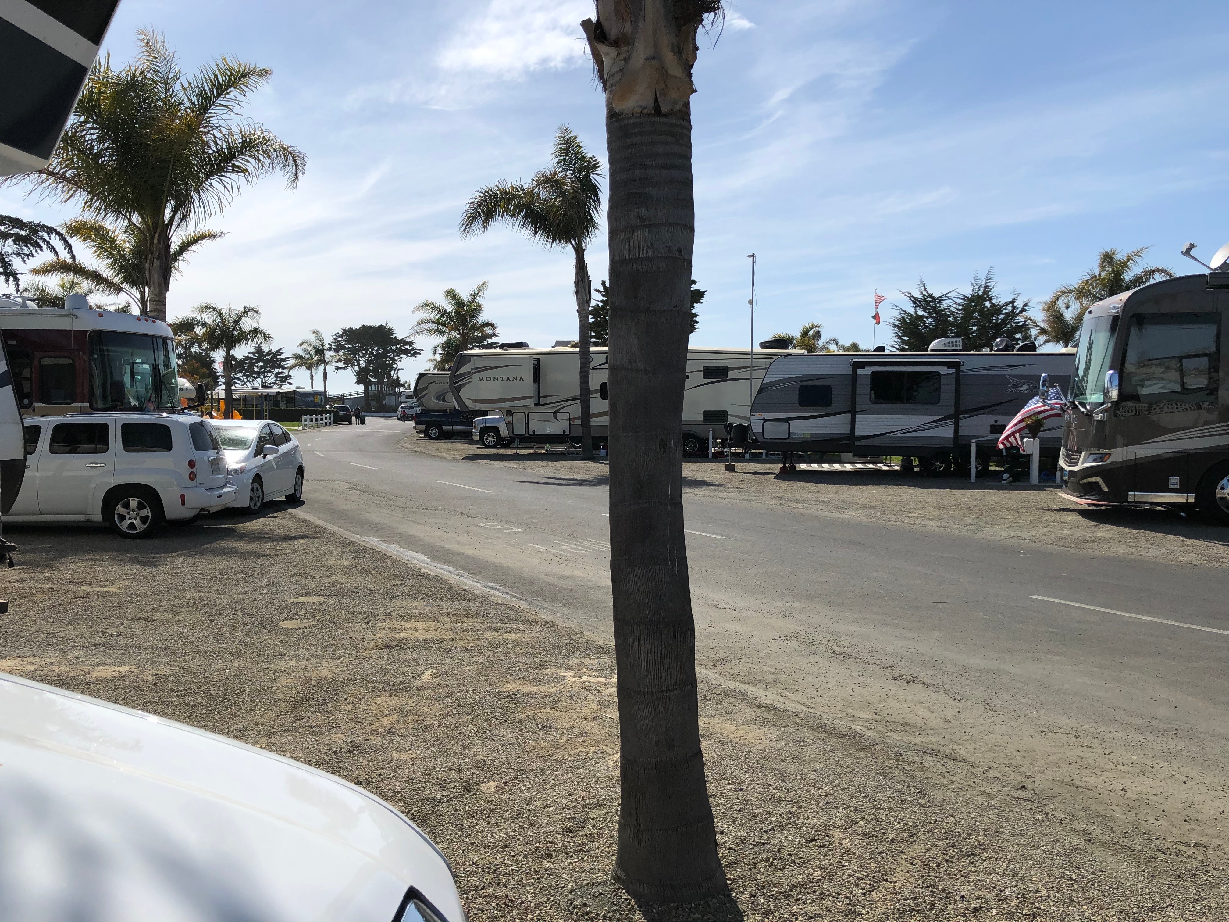 Camper submitted image from Pismo Coast Village RV Resort - 1