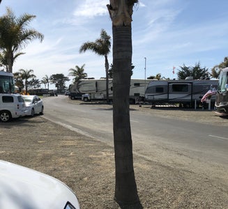 Camper-submitted photo from Pismo Coast Village RV Resort