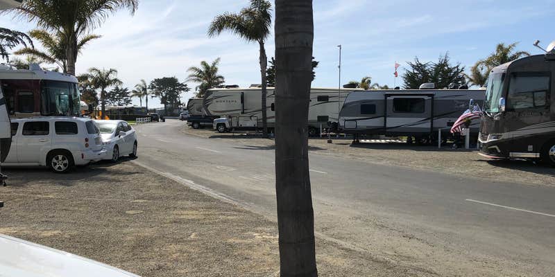 Camper submitted image from Pismo Coast Village RV Resort