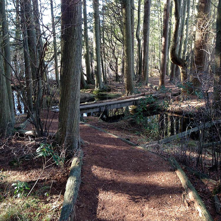 White Cloud County Park Camping The Dyrt