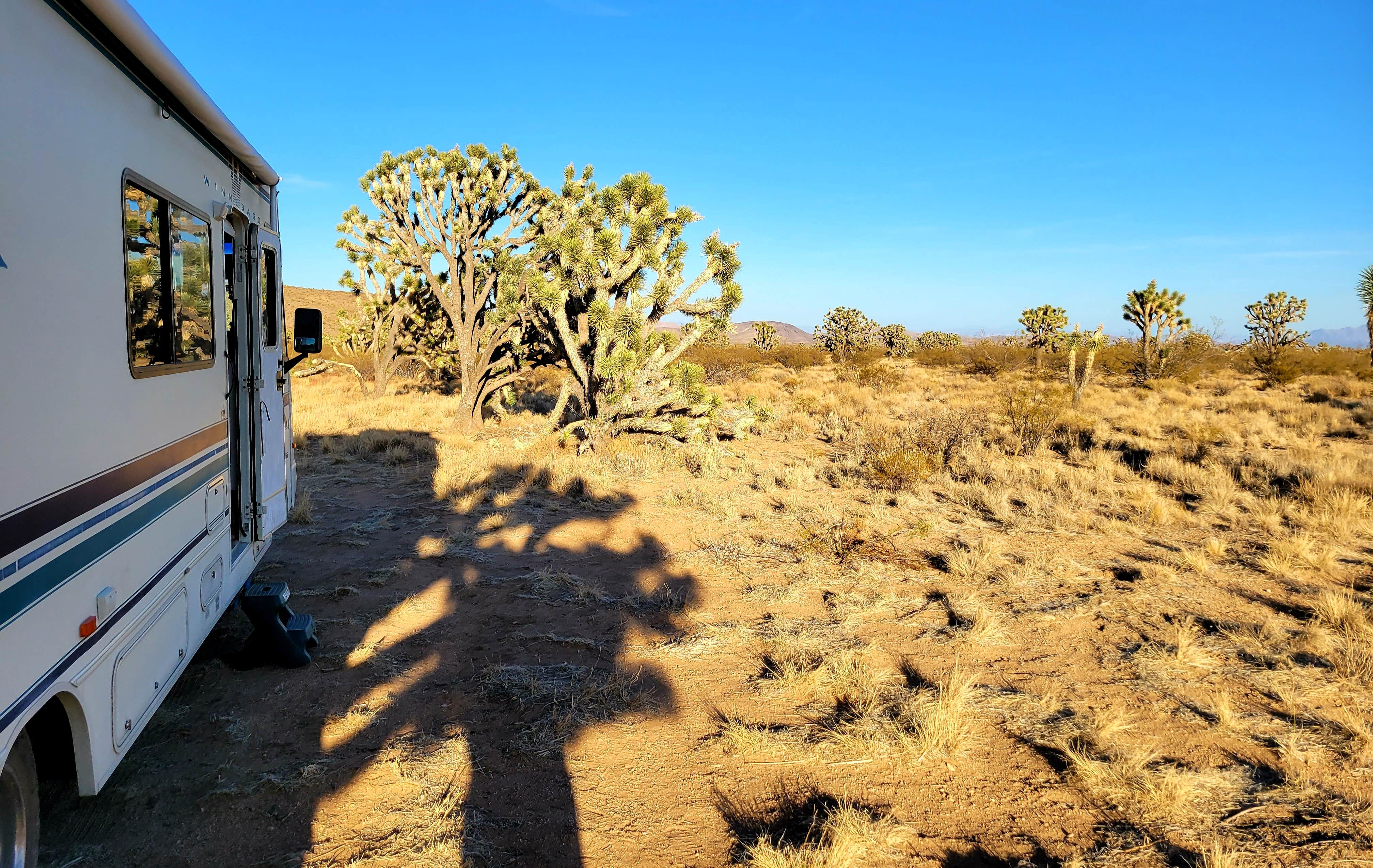Camper-submitted photo at BLM Knob Hill Primitive Camping near Nipton, CA