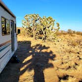 Review photo of BLM Knob Hill Primitive Camping by Stephen G., April 4, 2021