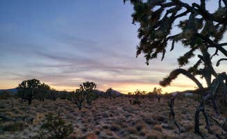 Stephen G.'s photo of a dispersed camping area at BLM Knob Hill Primitive Camping near Nipton, CA
