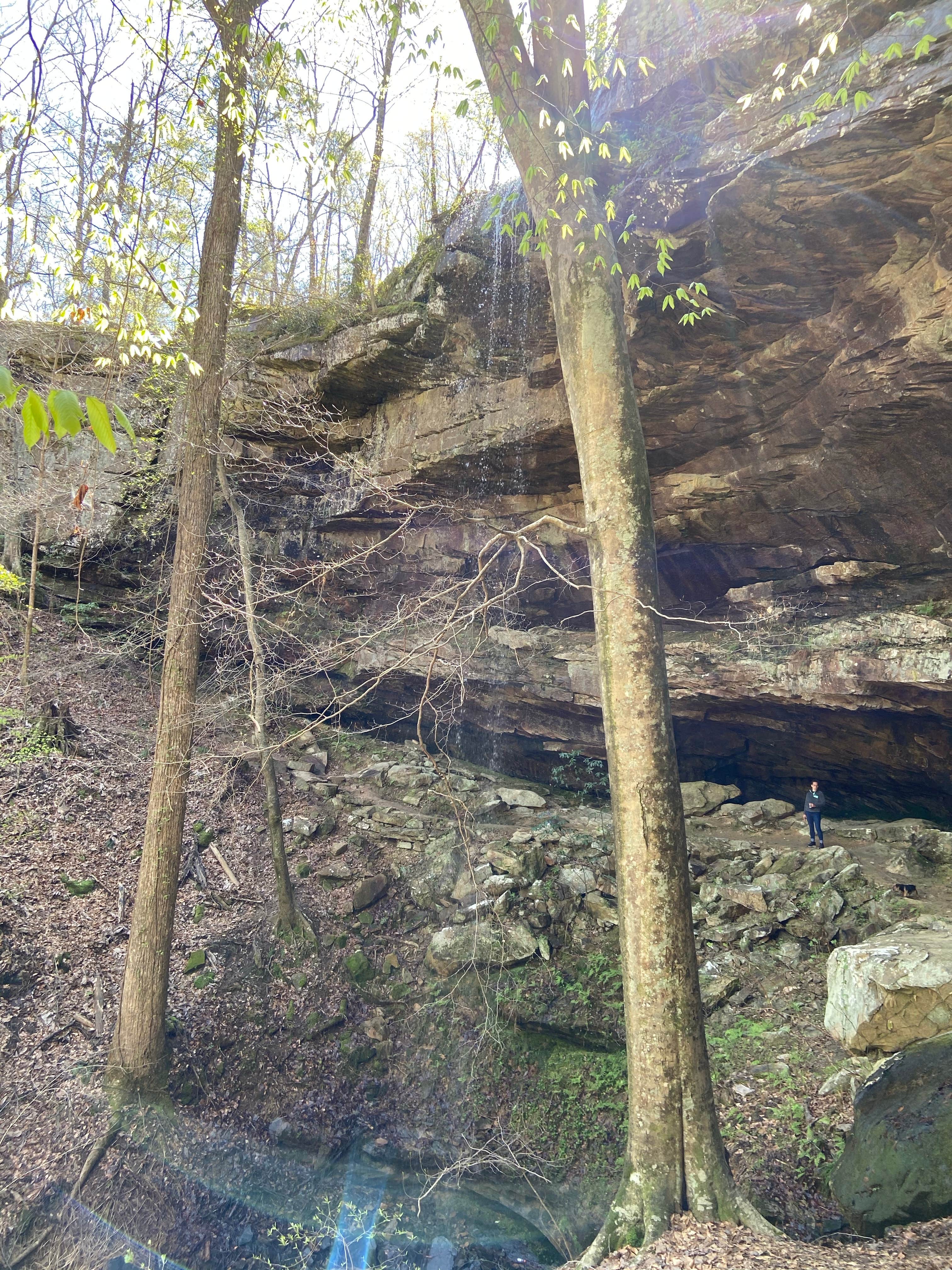 Camper-submitted photo at Clear Creek Recreation Area near Arley, AL