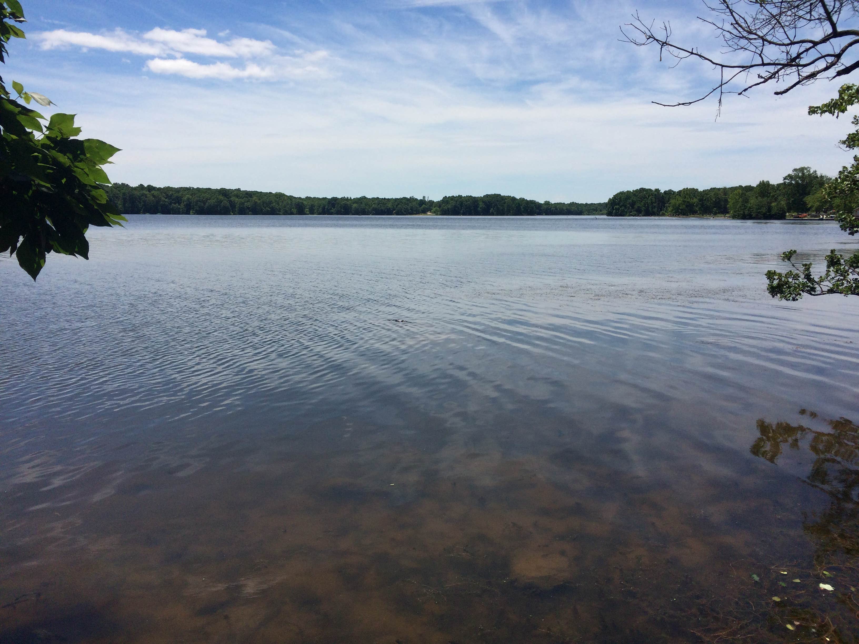 Camper-submitted photo at Gifford Pinchot State Park Campground in Pennsylvania