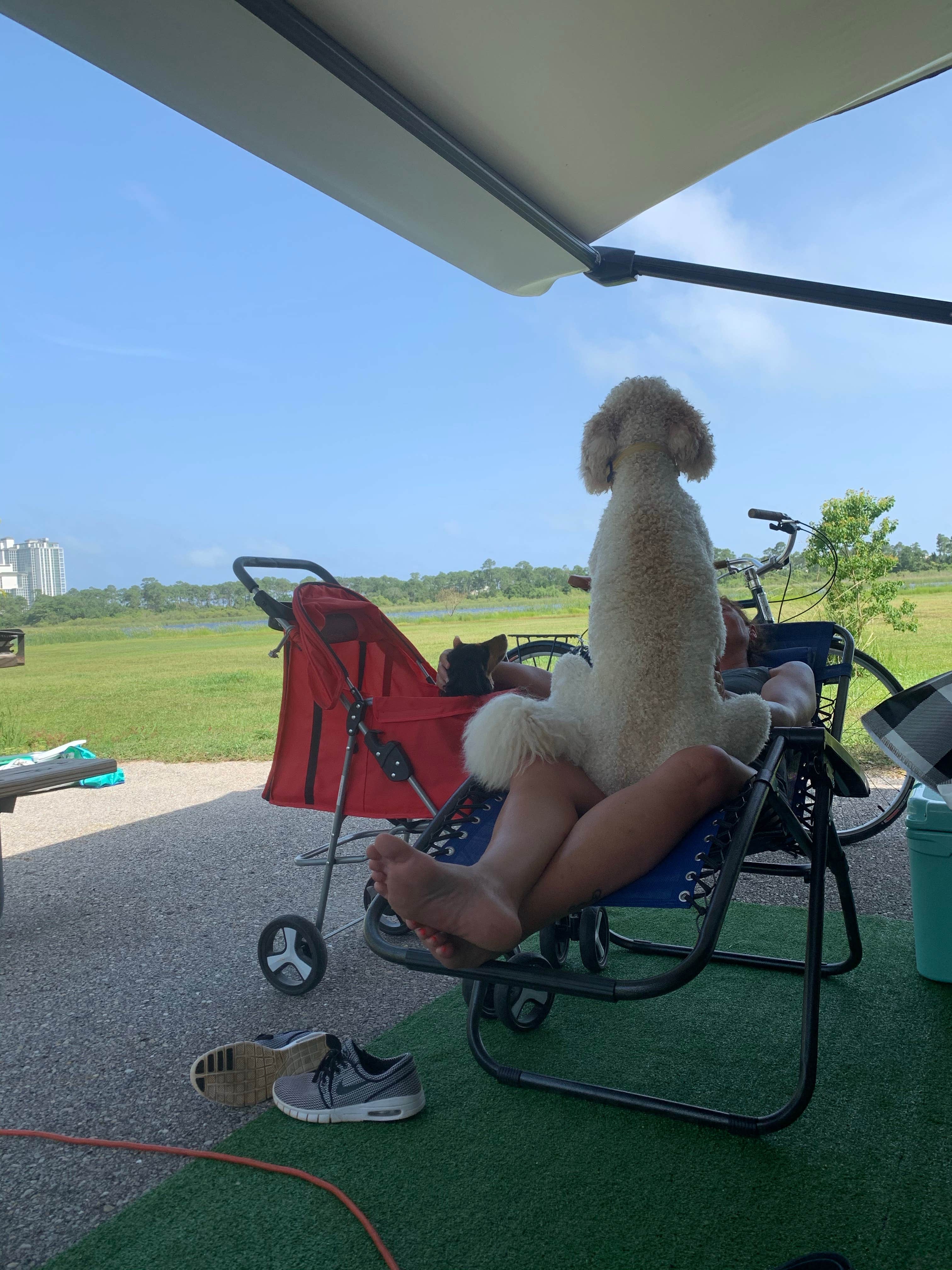 Camper-submitted photo at Gulf State Park Campground in Alabama