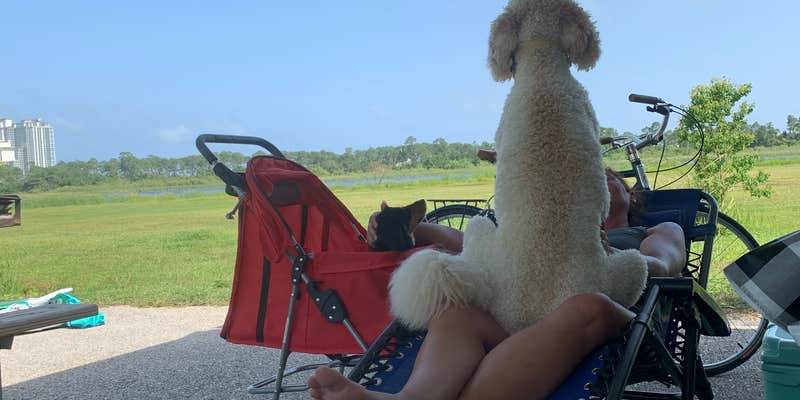 Camper submitted image from Gulf State Park Campground