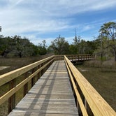Review photo of Skidaway Island State Park Campground by Robyn B., April 8, 2021