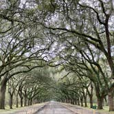 Review photo of Skidaway Island State Park Campground by Robyn B., April 8, 2021
