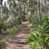 Review photo of Skidaway Island State Park Campground by Robyn B., April 8, 2021