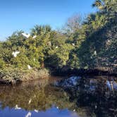 Review photo of Anastasia State Park Campground by janet H., April 8, 2021