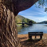 Review photo of Vogel State Park Campground by Kim M., April 8, 2021